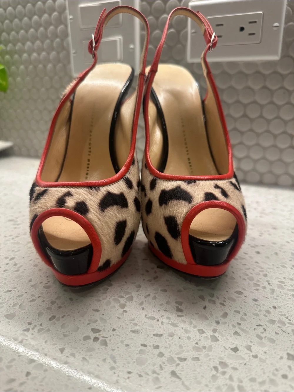 Giuseppe Zanotti these are